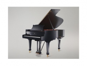 «Steinway&Sons» компаниясының өкілдері консерваторияда қонақта болды