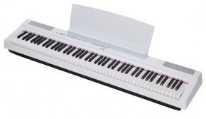 «Yamaha пернелі құралдарының мүмкіндіктері» семинары өтті